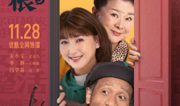电视剧刘老根,东北乡村的温情与奋斗故事
