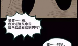漫画配偶树,揭示婚姻关系的奇妙生态