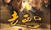 电视剧走西口剧情介绍,闯荡异乡的悲欢离合
