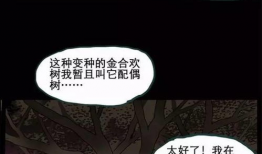 漫画配偶树,揭示婚姻关系的奇妙生态