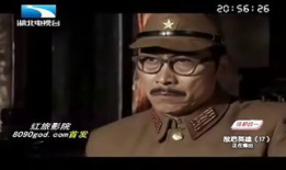 敌后英雄电视剧全集56,生死抉择，英雄本色