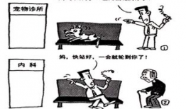 初中漫画题,趣味与成长的交织