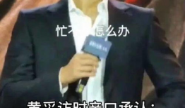 全集电视剧,穿越时空的传奇故事