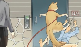 和狗做漫画,漫画中的温馨狗故事