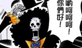 海贼王漫画论坛,探寻梦想与冒险的海洋传奇