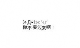颜文字漫画,表情包中的情感世界