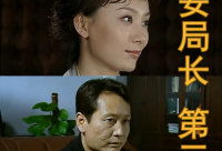 电视剧公安局长第三部,公安局长第三部