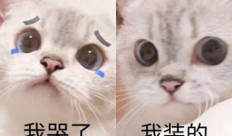 最强反套路系统漫画36,漫画36揭秘最强反套路系统的逆袭之路